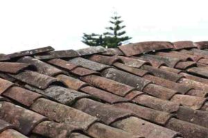 Smart roof maintenance tips