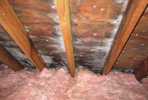 Roof Wellington - Condensation in attic
