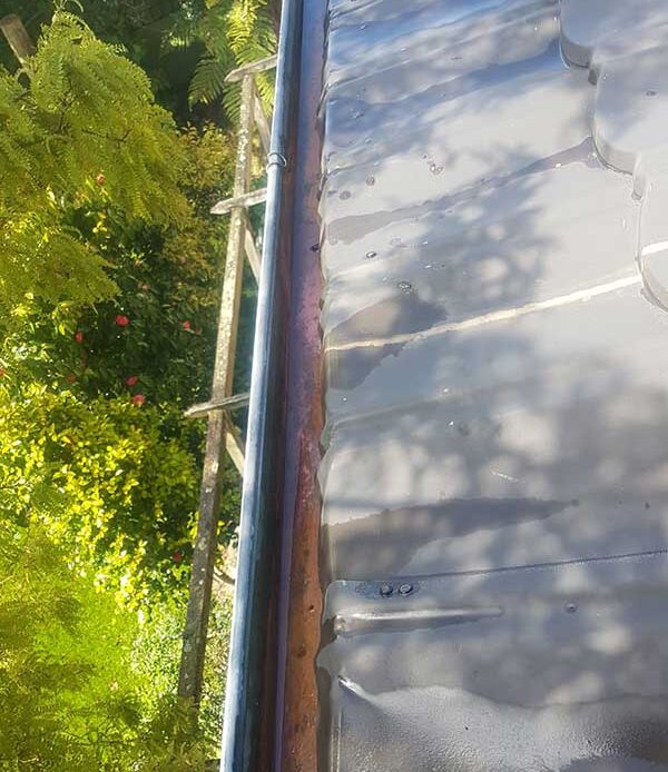 guttering-spouting-cleaning-southern-plumbing-wellington