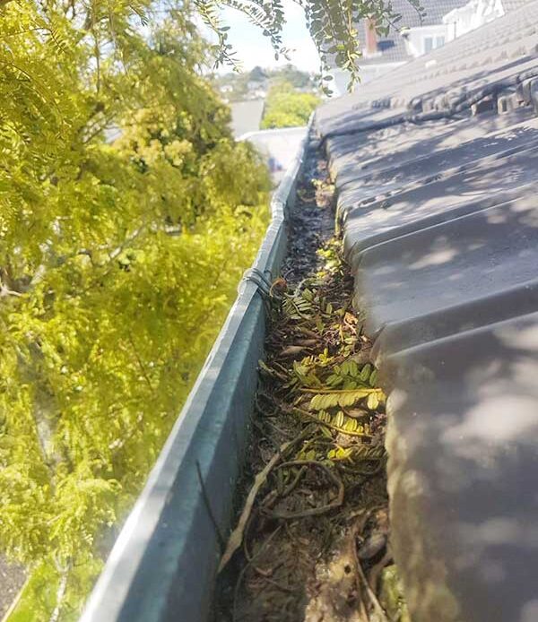 Guttering-spouting-cleaning-wellington-southern-plumbing