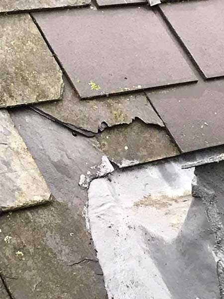 roof repairs wellington southern plumbing