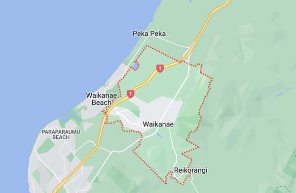plumbing Waikanae plumbers local services Google near me
